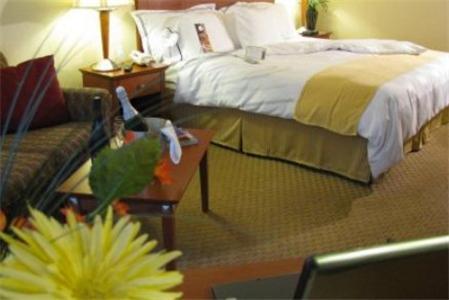 Charleston Airport Hotel North Charleston Oda fotoğraf