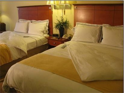 Charleston Airport Hotel North Charleston Oda fotoğraf