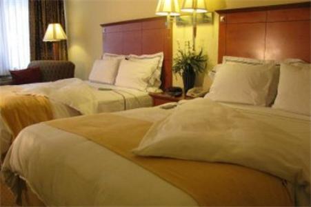 Charleston Airport Hotel North Charleston Oda fotoğraf